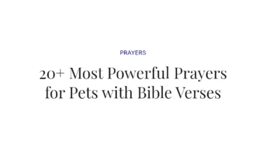 20+ Most Powerful Prayers for Pets with Bible Verses
