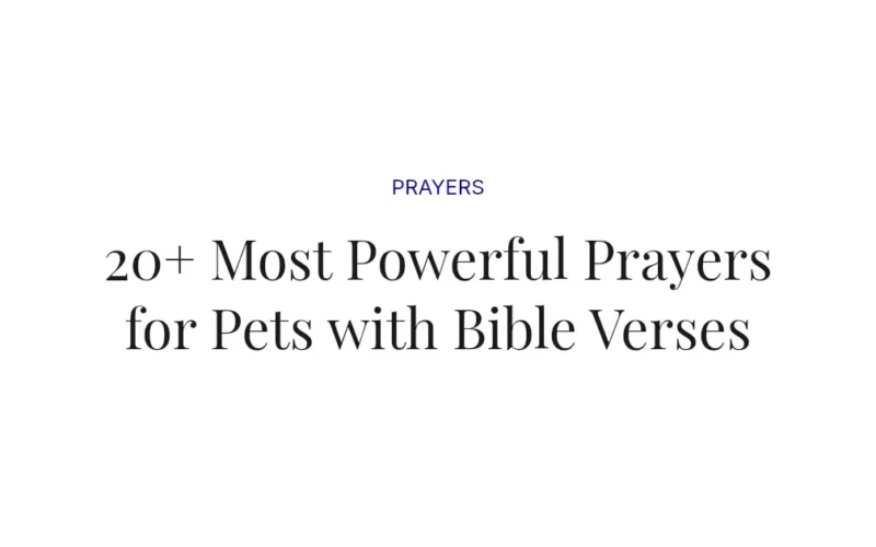 20+ Most Powerful Prayers for Pets with Bible Verses