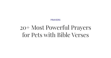 20+ Most Powerful Prayers for Pets with Bible Verses
