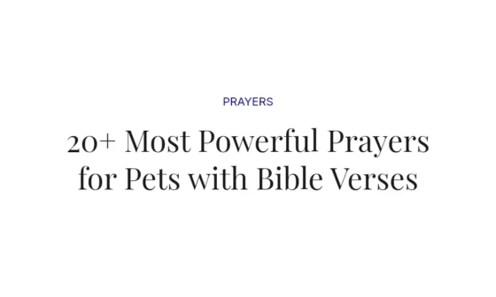 20+ Most Powerful Prayers for Pets with Bible Verses