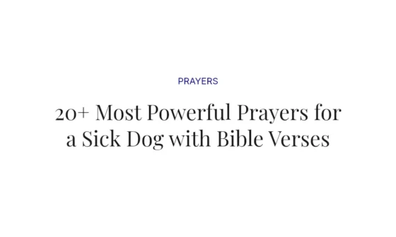 20+ Most Powerful Prayers for a Sick Dog with Bible Verses