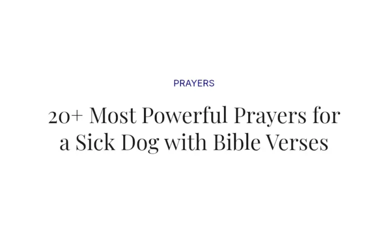 20+ Most Powerful Prayers for a Sick Dog with Bible Verses