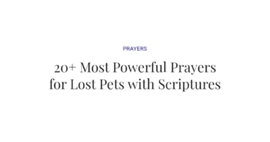 20+ Most Powerful Prayers for Lost Pets with Scriptures