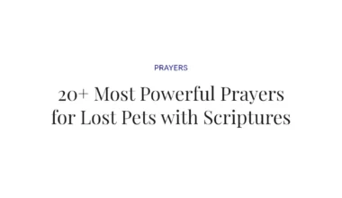 20+ Most Powerful Prayers for Lost Pets with Scriptures