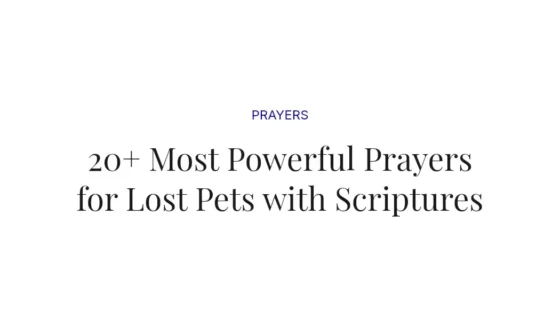 20+ Most Powerful Prayers for Lost Pets with Scriptures