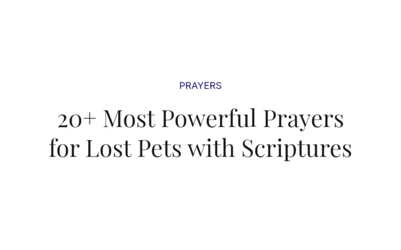20+ Most Powerful Prayers for Lost Pets with Scriptures