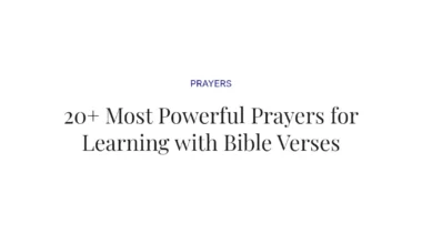 20+ Most Powerful Prayers for Learning with Bible Verses