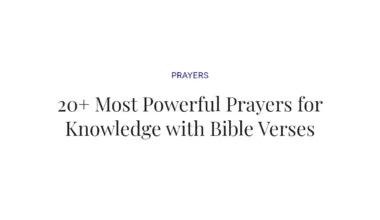 20+ Most Powerful Prayers for Knowledge with Bible Verses