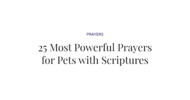 25 Most Powerful Prayers for Pets with Scriptures