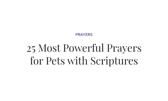 25 Most Powerful Prayers for Pets with Scriptures