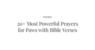 20+ Most Powerful Prayers for Paws with Bible Verses