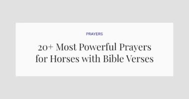 20+ Most Powerful Prayers for Horses with Bible Verses