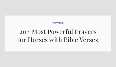 20+ Most Powerful Prayers for Horses with Bible Verses