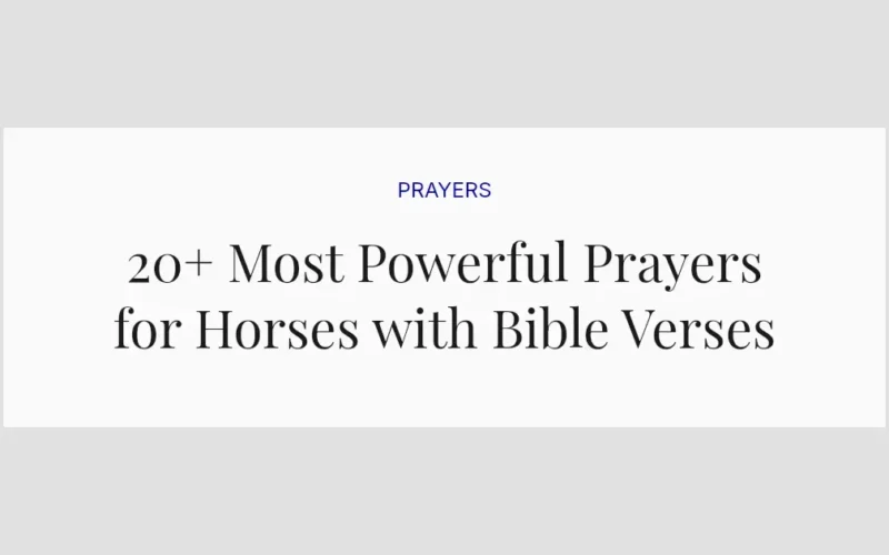 20+ Most Powerful Prayers for Horses with Bible Verses