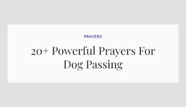 20+ Powerful Prayers For Dog Passing