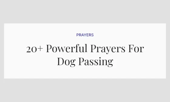 20+ Powerful Prayers For Dog Passing