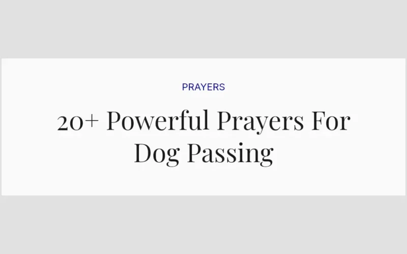 20+ Powerful Prayers For Dog Passing