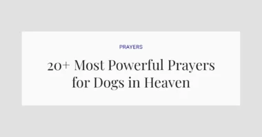 20+ Most Powerful Prayers for Dogs in Heaven
