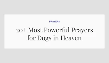 20+ Most Powerful Prayers for Dogs in Heaven