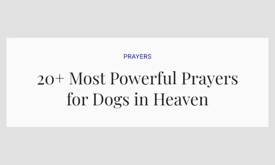 20+ Most Powerful Prayers for Dogs in Heaven