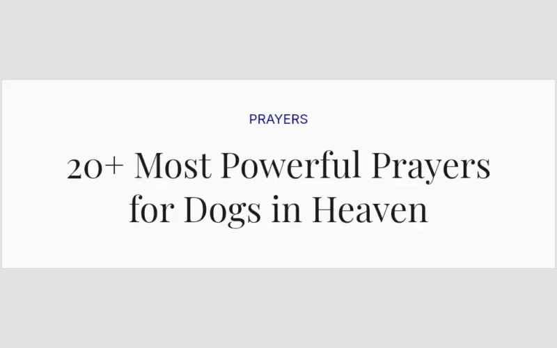 20+ Most Powerful Prayers for Dogs in Heaven