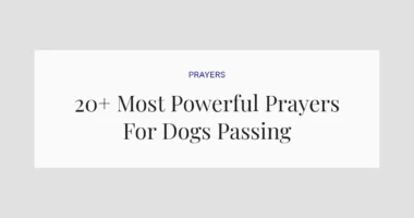 20+ Most Powerful Prayers For Dogs Passing