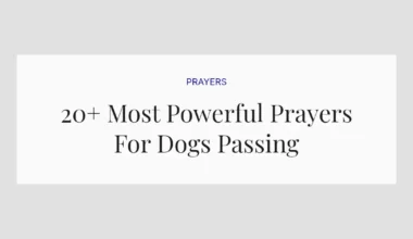 20+ Most Powerful Prayers For Dogs Passing