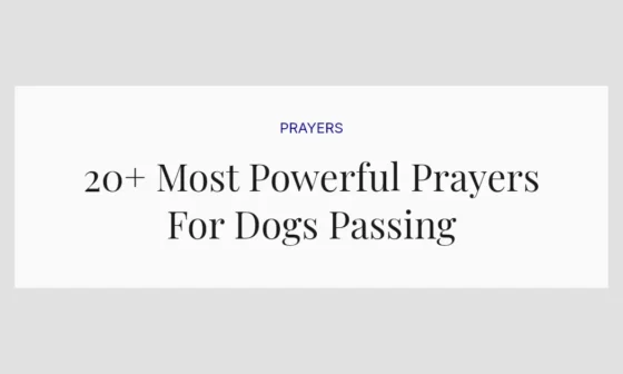 20+ Most Powerful Prayers For Dogs Passing