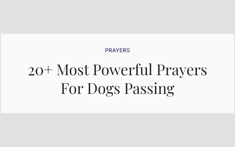 20+ Most Powerful Prayers For Dogs Passing