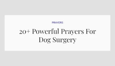 20+ Powerful Prayers For Dog Surgery