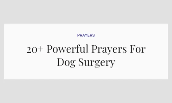 20+ Powerful Prayers For Dog Surgery