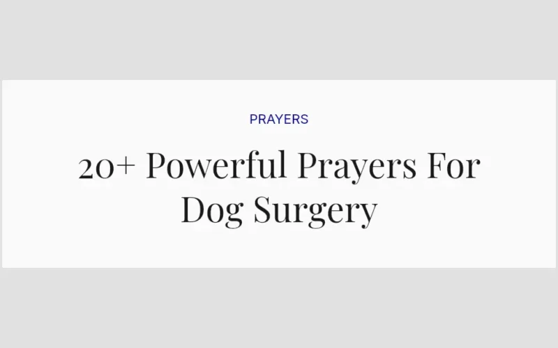 20+ Powerful Prayers For Dog Surgery