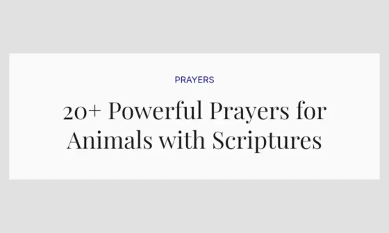 20+ Powerful Prayers for Animals with Scriptures